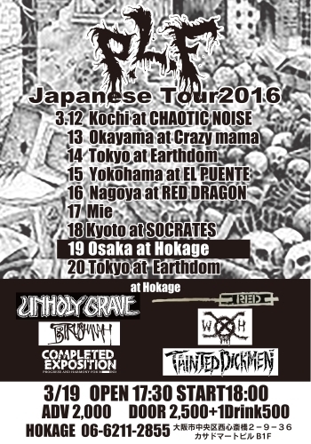 OSAKA FLYER最新版.jpg